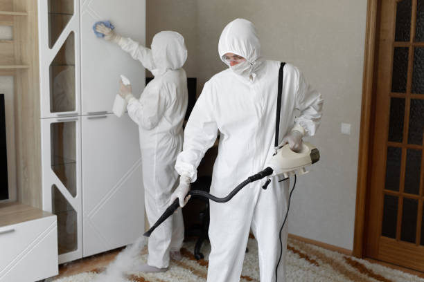 Certified Mold Removal in Hogansville, GA