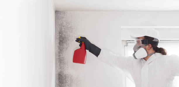 Best Residential Mold Removal  in Honsville, GA